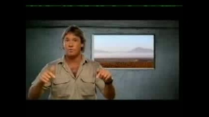 Steve Irwin Video Tribute