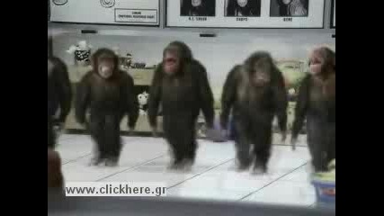 Танца На Маймуните