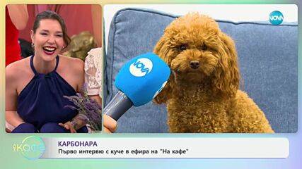 Златното детство: Как израстнаха децата на 90-те - „На кафе” (04.07.2025)