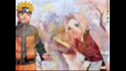 team7 