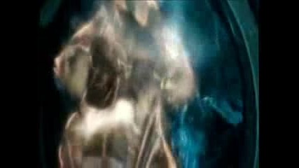 Harry Potter - James Bond