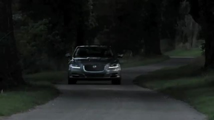 Jaguar 2010 