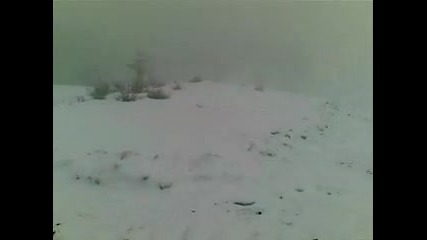 Емо и Бомбата със Субару Драгиново