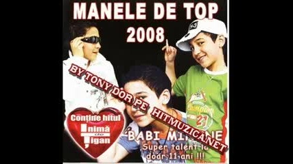 Babiminune - Inima de tigan