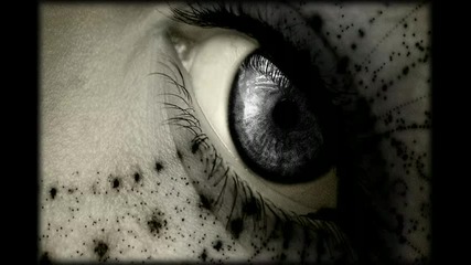 Yotopia - Close Your Eyes 