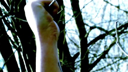 Candid Iniquity - A System (2010) 