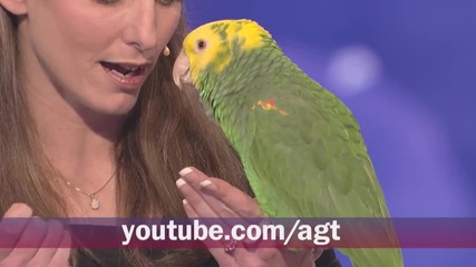 America_s Got Talent - Youtube Auditions Open Now!