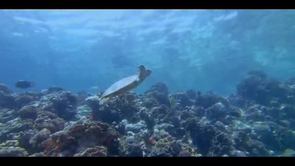 Vocal Trance 2010 - Ocean Mix 