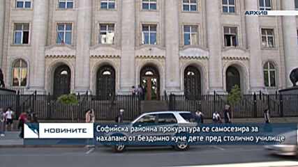 Софийска районна прокуратура се самосезира за нахапано от бездомно куче дете пред столично училище