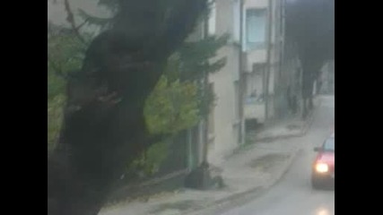 Мъртво Пиян Циганин