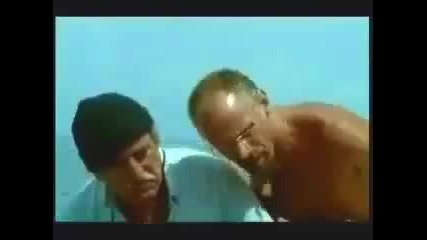 Случка с акула! 