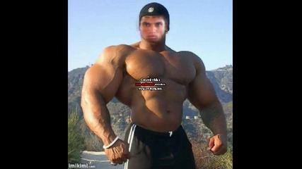 mnogo e lud za libov