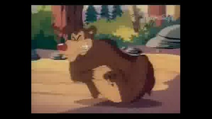 Tom And Jerry Kids - Catawumps Cat