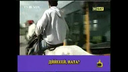 Ром си търси конете из София - Господари на ефира 6.05.2008 High - Quality