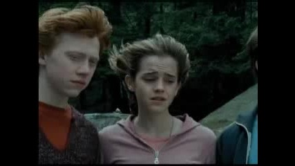 Love And Memories (ron And Hermione)