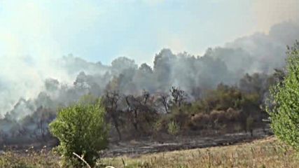 Голям пожар гори край Бобошево