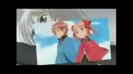 Shugo Chara! - Fascination