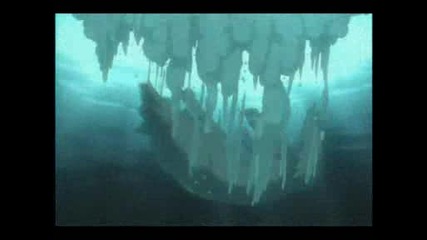 Paradise Amv Hq