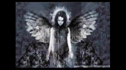 Fallen Angel 