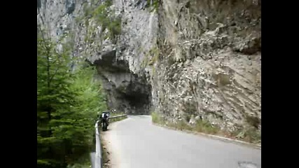 Тдм България