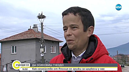 ДА ОСИНОВИШ ГНЕЗДО: Как семейство от Япония се грижи за щъркели у нас