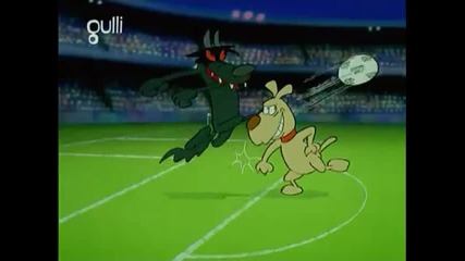 Zoo Cup Кучета срещу Вълци
