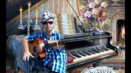 Cane Nikolovski - Can T Help Falling In Love