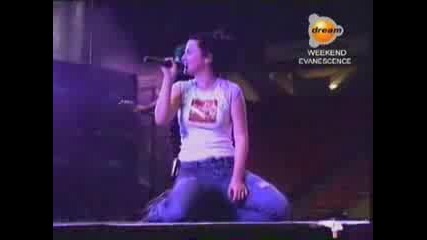 amy lee funny video 