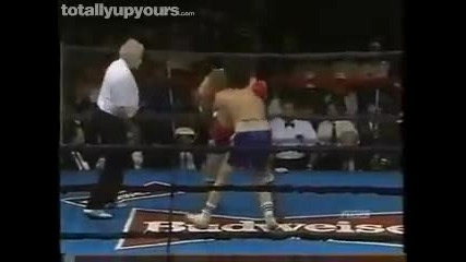 Worst Boxer Ever On Youtube !!! 