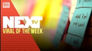 NEXTTV 033: Viral of the Week