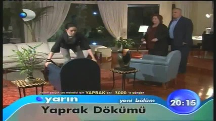 Listopad - Yaprak D