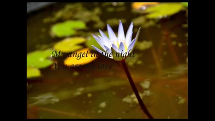 {sun} Jim Brickman - Love of My Life