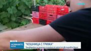 Министерството на земеделието проверява сигнали за нелоялни практики към производители
