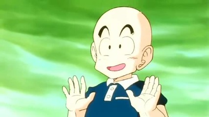 Dragon Ball Z - 43