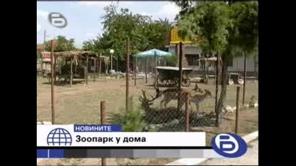 Мъж Създаде Минизоопарк В Дома Си