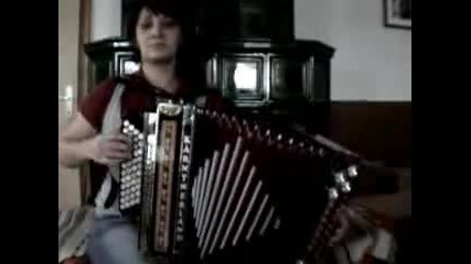 Steirische Harmonika - Bazwoacha Boarischa 