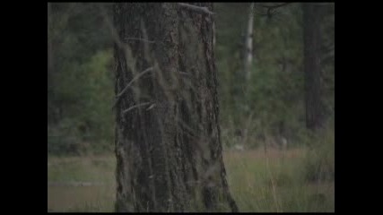 Елен.flv