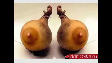 Забавни снимки от природата! Смях!