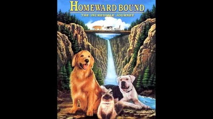 Homeward Bound Soundtrack - The Journey Begins