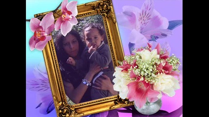 azis 2009 