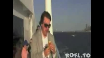 Нагла крадлива чайка ... 