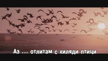 Цунами - Анастасия Спиридонова (бг превод)