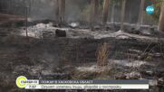 Пожарът в Хасковско гори на фронт от 15 км