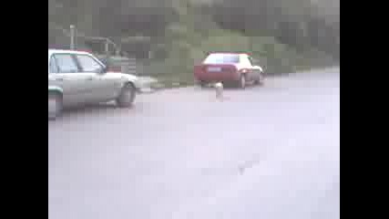 Sva0094.mp4