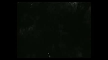 Българският сериал На всеки километър - Втори филм (1970), Шеста серия - Хищникът [част 2]