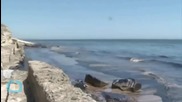 California In State of Emergency After Oil Spill