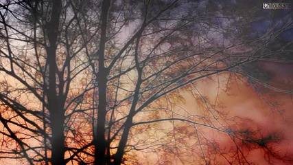 Natur und Wald Impressionen chilloutentspannung Meditation Musik Music 