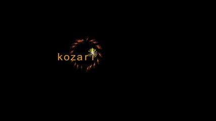 козари ми сасуи 2013