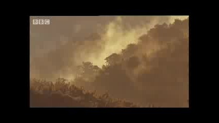 Невероятната природа на Кения , Африка ( видео на Bbc ) 