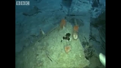 Ф - Т - 23 мистерията на самолета останки в Бермудски триъгълник - Bbc